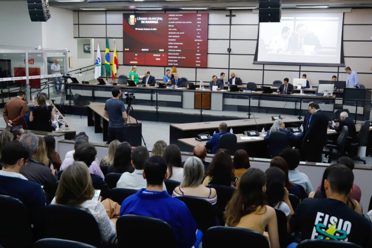 Câmara encerra 2024 com 240 projetos de lei e mais de 1.100 requerimentos