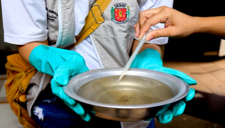 Observatório Social pede impugnação em edital de combate à dengue