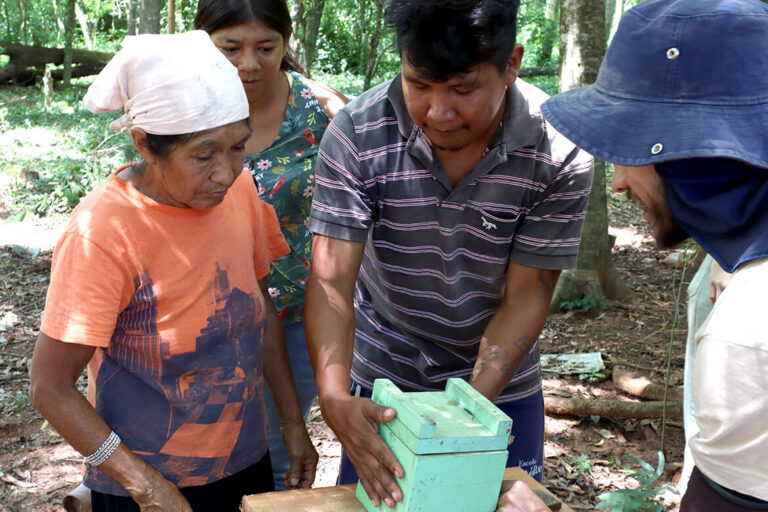 Meliponicultura e biodiversidade avançam no Paraná com apoio da Itaipu