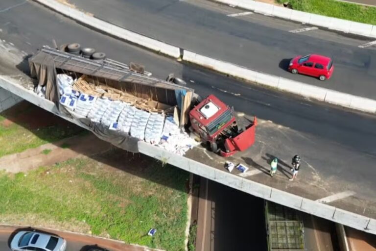 Carreta tomba com ração animal
