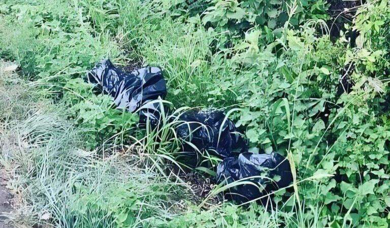 Corpo de maringaense é encontrado em saco de lixo