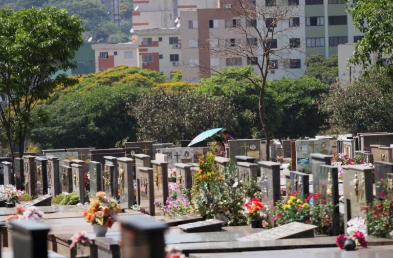 Cemitério Municipal é alvo de descaso e roubos
