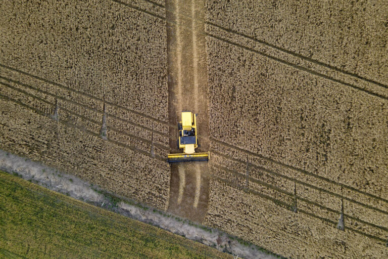 Paraná terá maior crescimento da produção agrícola entre estados do Sul e Sudeste em 2025