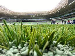 Palmeiras rebate críticas ao seu gramado