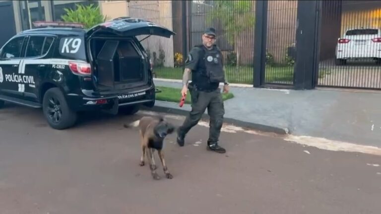 Polícia Civil deflagra segunda fase da Operação Lucas 12: 2-3