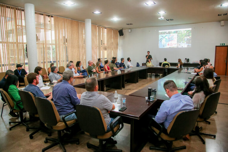 Prefeitura revisa Plano de Arborização Urbana