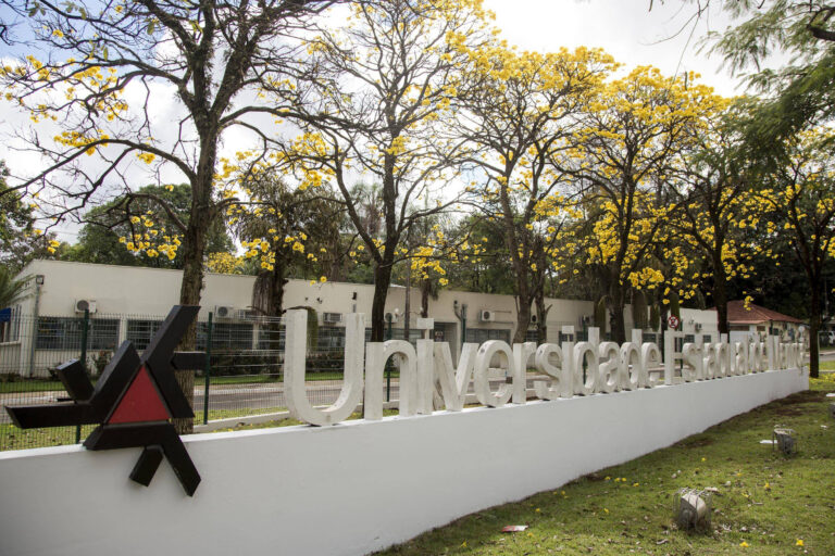 UEM abre seleção para 77 vagas de professores temporários