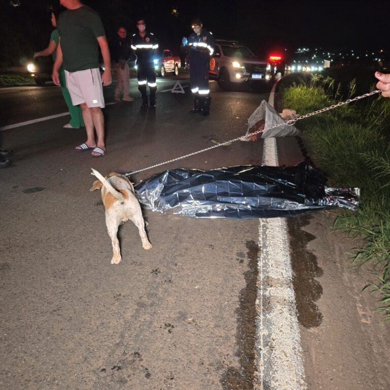 Treze pessoas morreram nas rodovias no feriadão