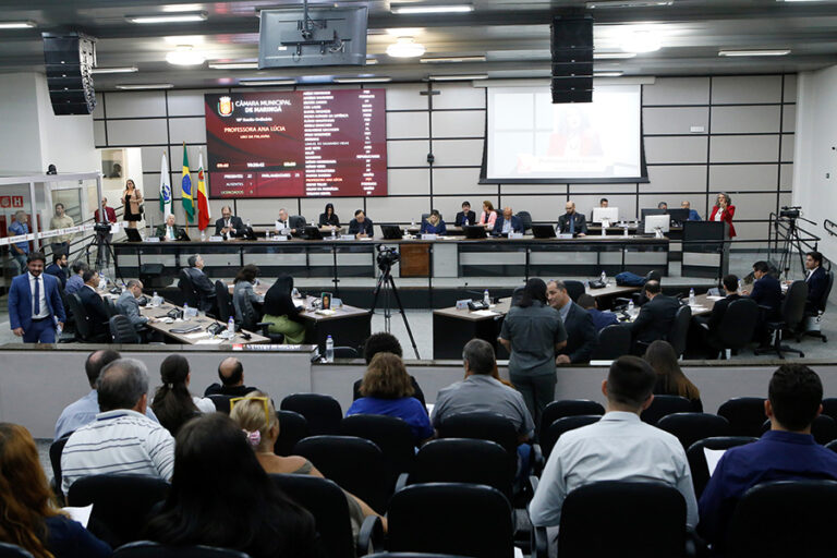 Vereadores aprovam projeto que flexibiliza análise do RIV