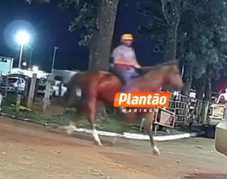 Furta cavalo na Expoingá e sai montado do parque