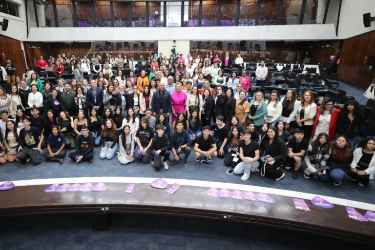 Representatividade e proteção feminina foram os temas do 6º Encontro das Procuradorias Especiais da Mulher do Paraná