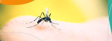 Alta nas UPAs e casos de dengue tipo 3 preocupam Saúde
