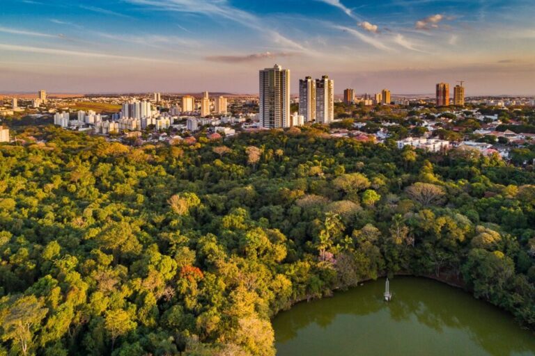 Maringá registrou zero desmatamento em 2024