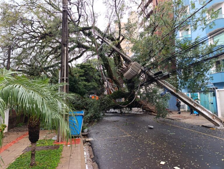 Árvore derruba seis postes em temporal na Cidade