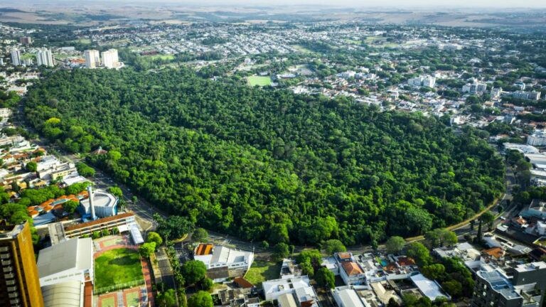 Maringá amplia em 16% sua área verde