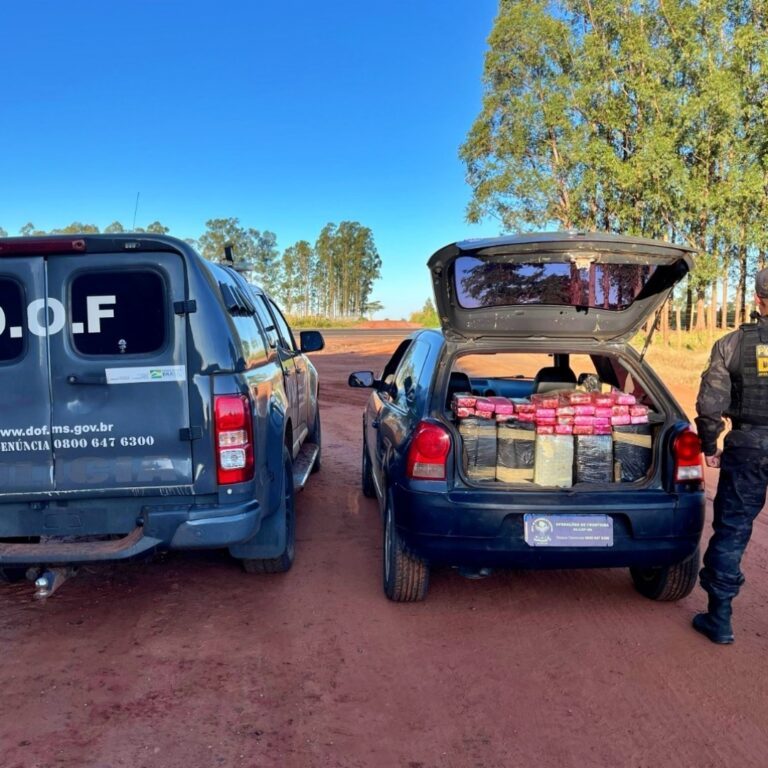 Polícia apreende 5 toneladas de maconha em menos de 24 horas