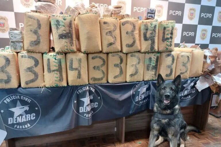 Polícia apreende mais de R$ 80 milhões em drogas no Paraná