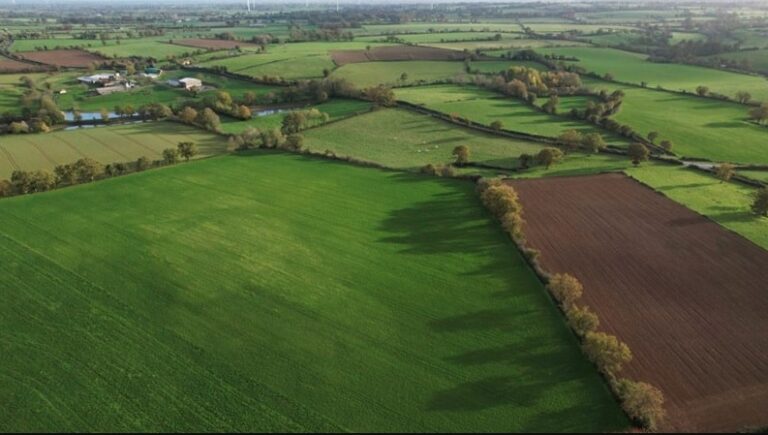 Maringá possui o hectare mais caro do Paraná