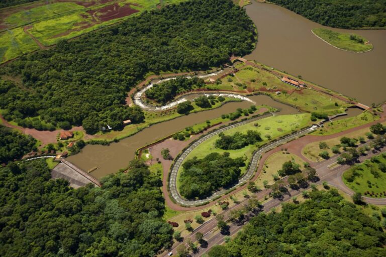 Monitoramento de peixes pela Itaipu confirma boa qualidade ambiental do reservatório