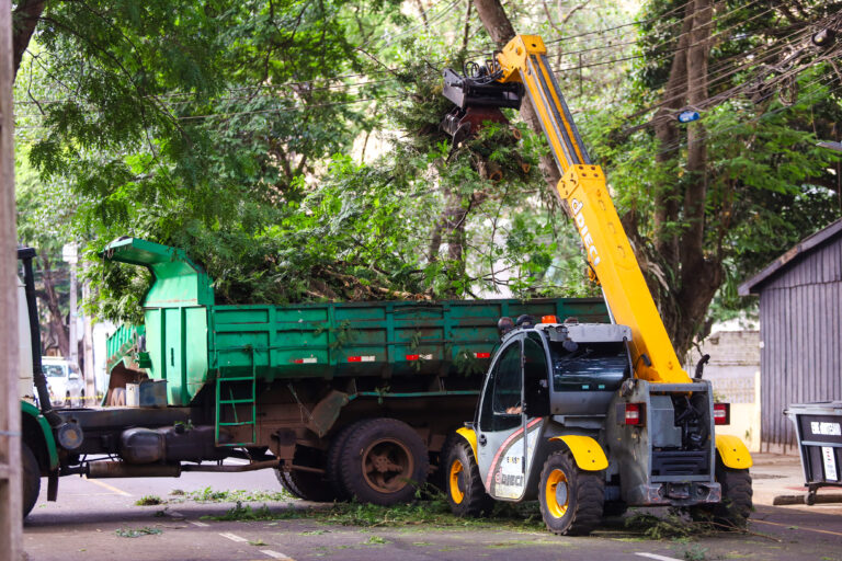 Prefeitura já realizou 10,3 mil serviços de arborização em 2025