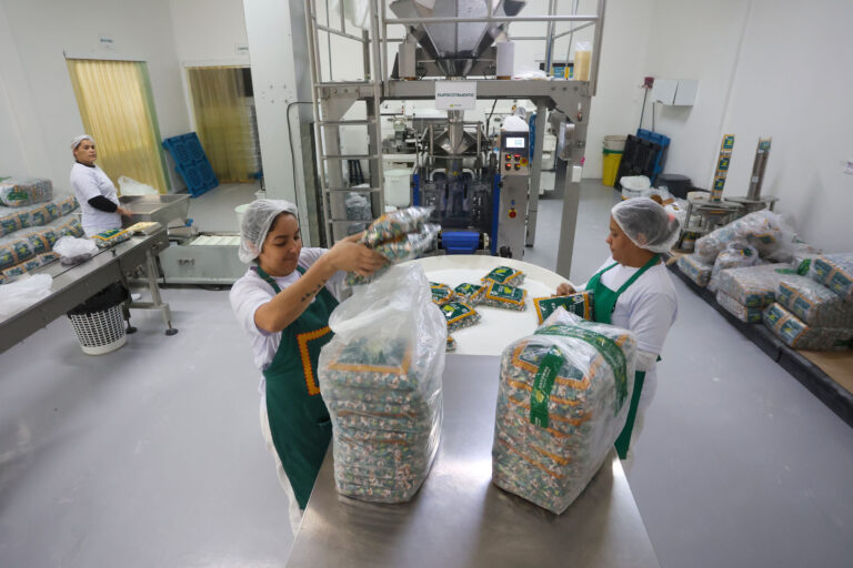 Maringá é a 4ª cidade do Paraná que mais empregou mulheres