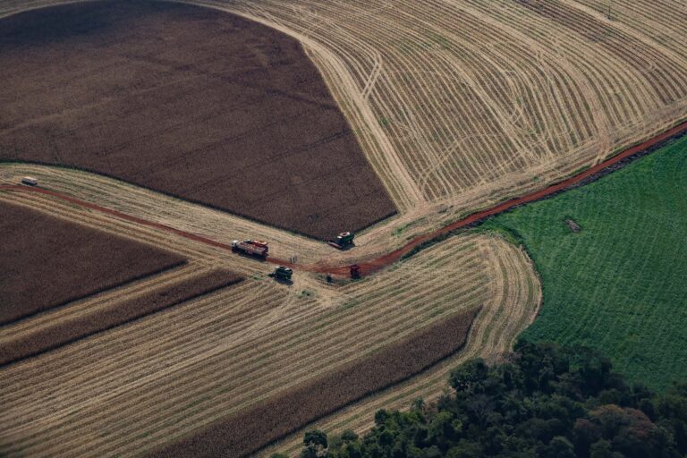 Paraná teve maior crescimento econômico do Brasil nos primeiros cinco meses de 2025