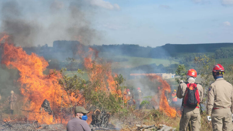 Maringá tem número recorde de incêndios ambientais