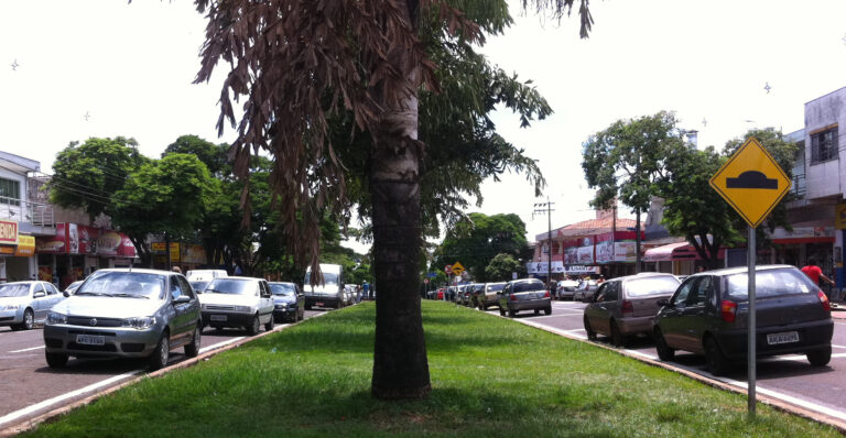 Carros estacionam no meio do canteiro da Avenida das Palmeiras