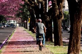 Ciclovias são avaliadas por prefeito e secretários de Maringá