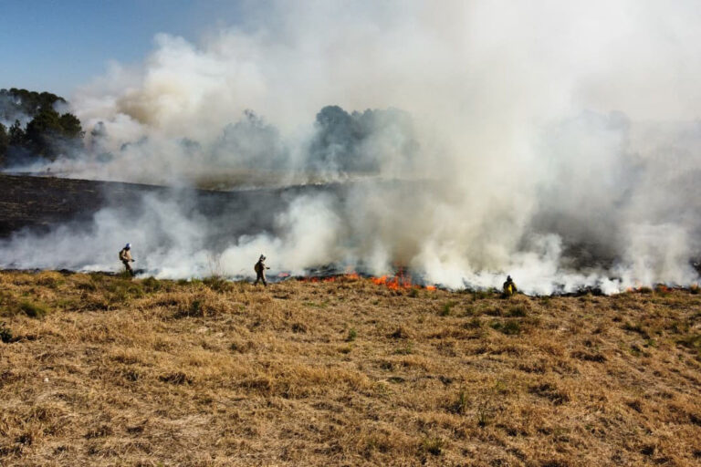 Cidade teve um incêndio a cada 14 horas em agosto